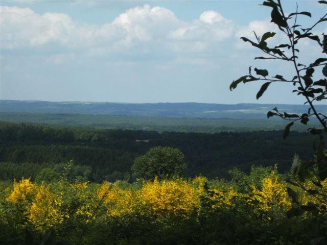Appartement Ideal Pres De Durbuy / Ideaal Appartement Nabij Durbuy / Ideal Apartment Near Durbuy Hotton Exteriör bild